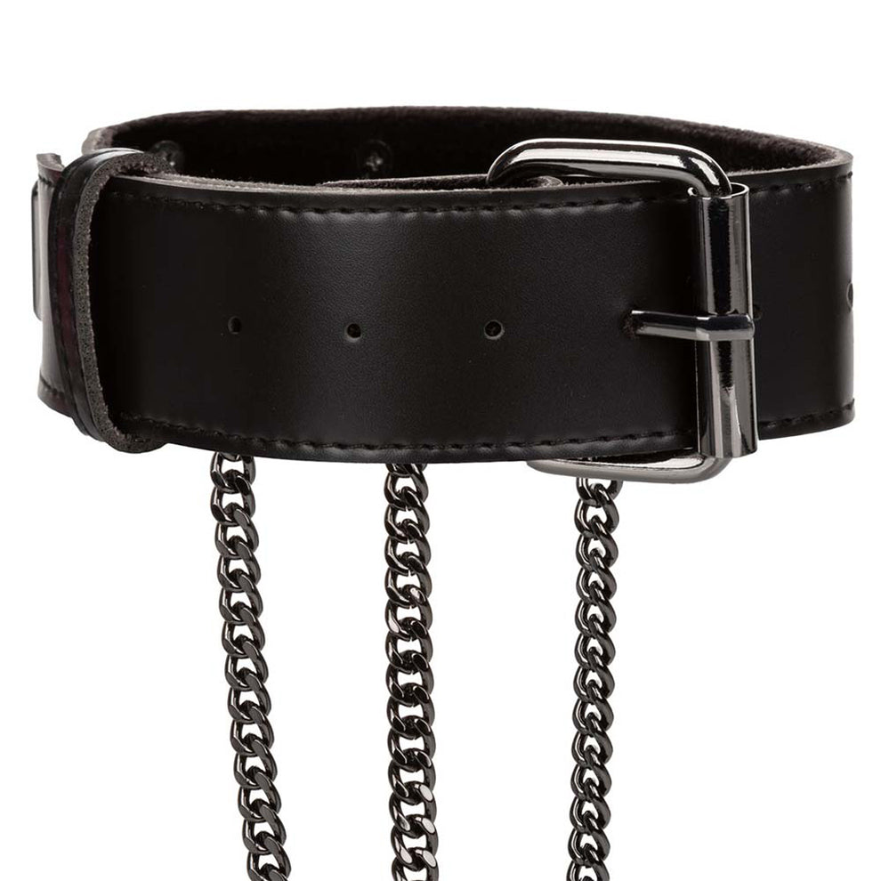 EUFORIA MULTI HARNESS