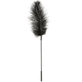 FEATHER BODY