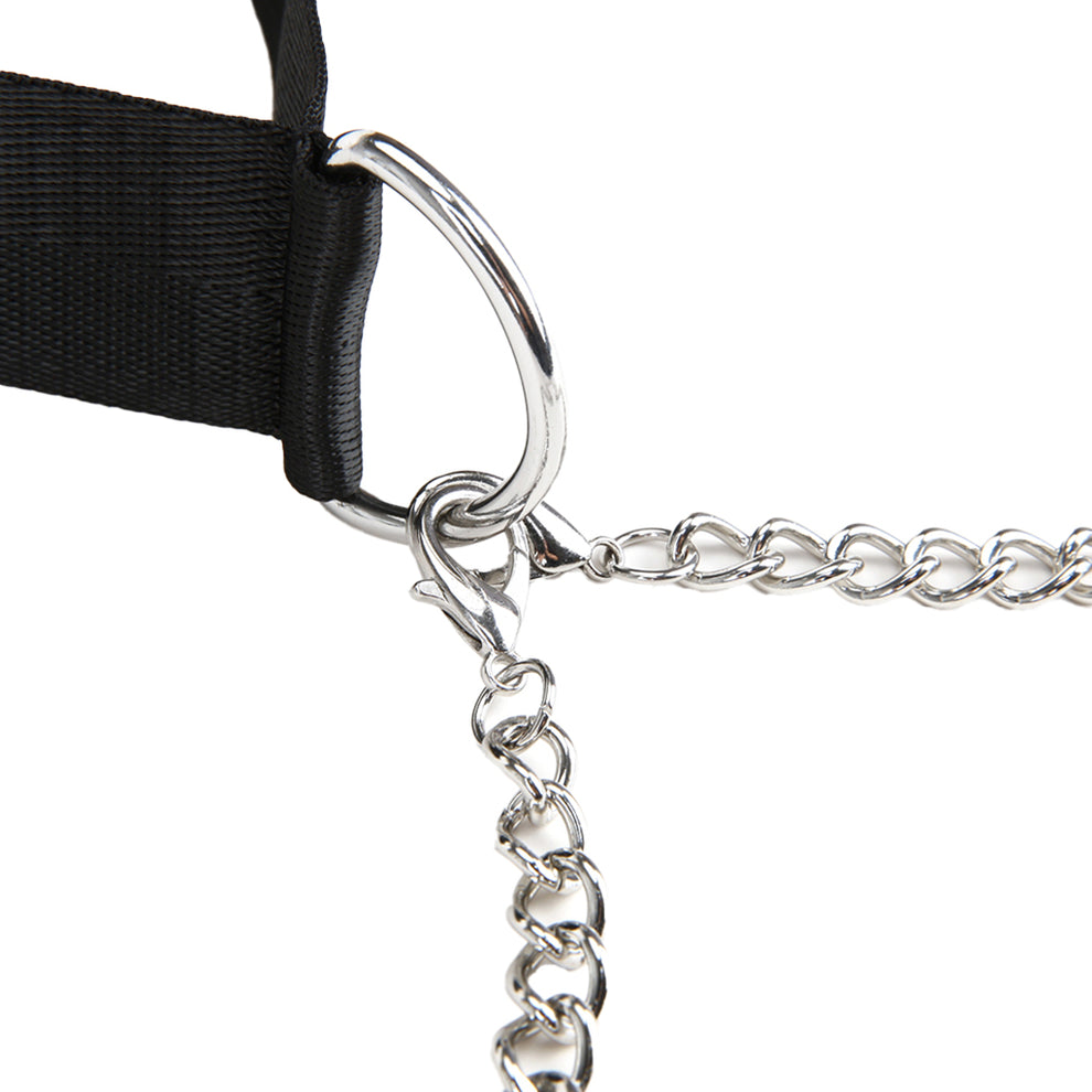 COLLAR AND NIPPLES CLAMP