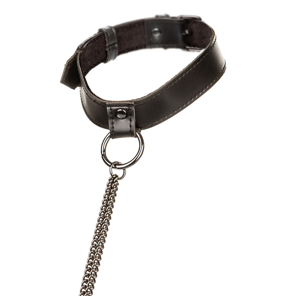 EUFORIA COLLAR
