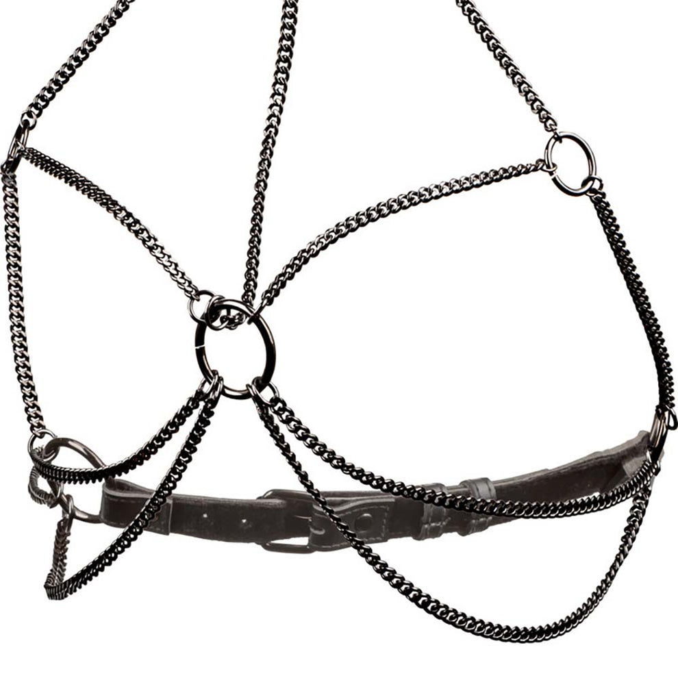 EUFORIA MULTI HARNESS