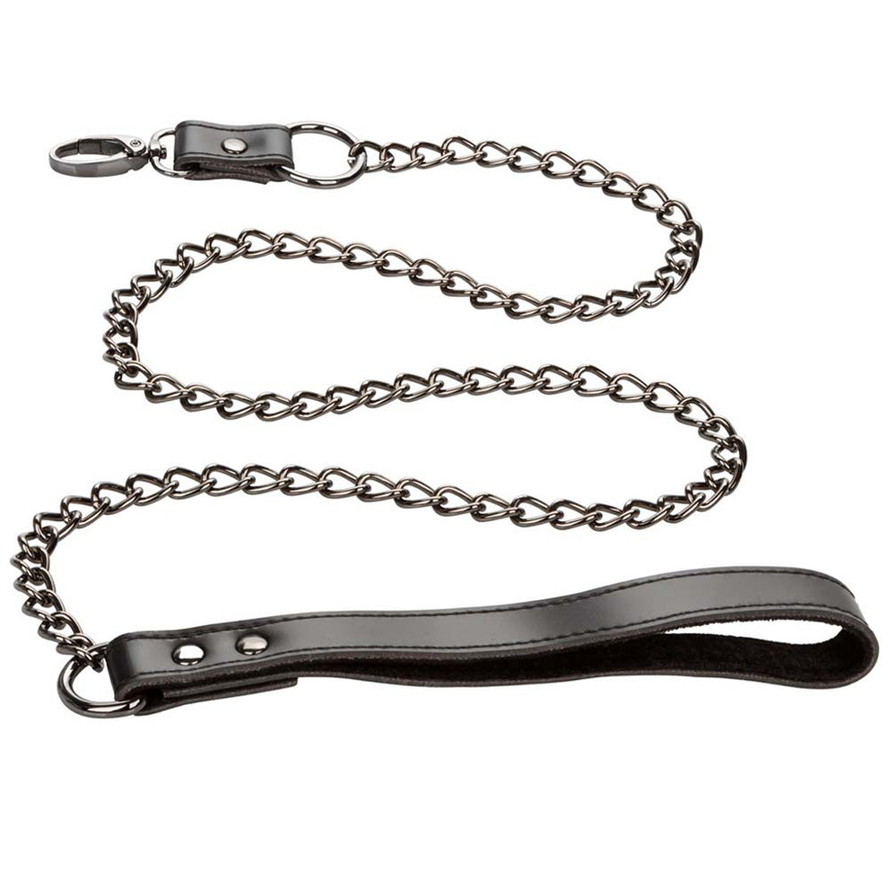 EUFORIA CHAIN LEASH COLLAR