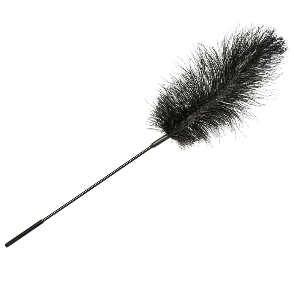 FEATHER BODY