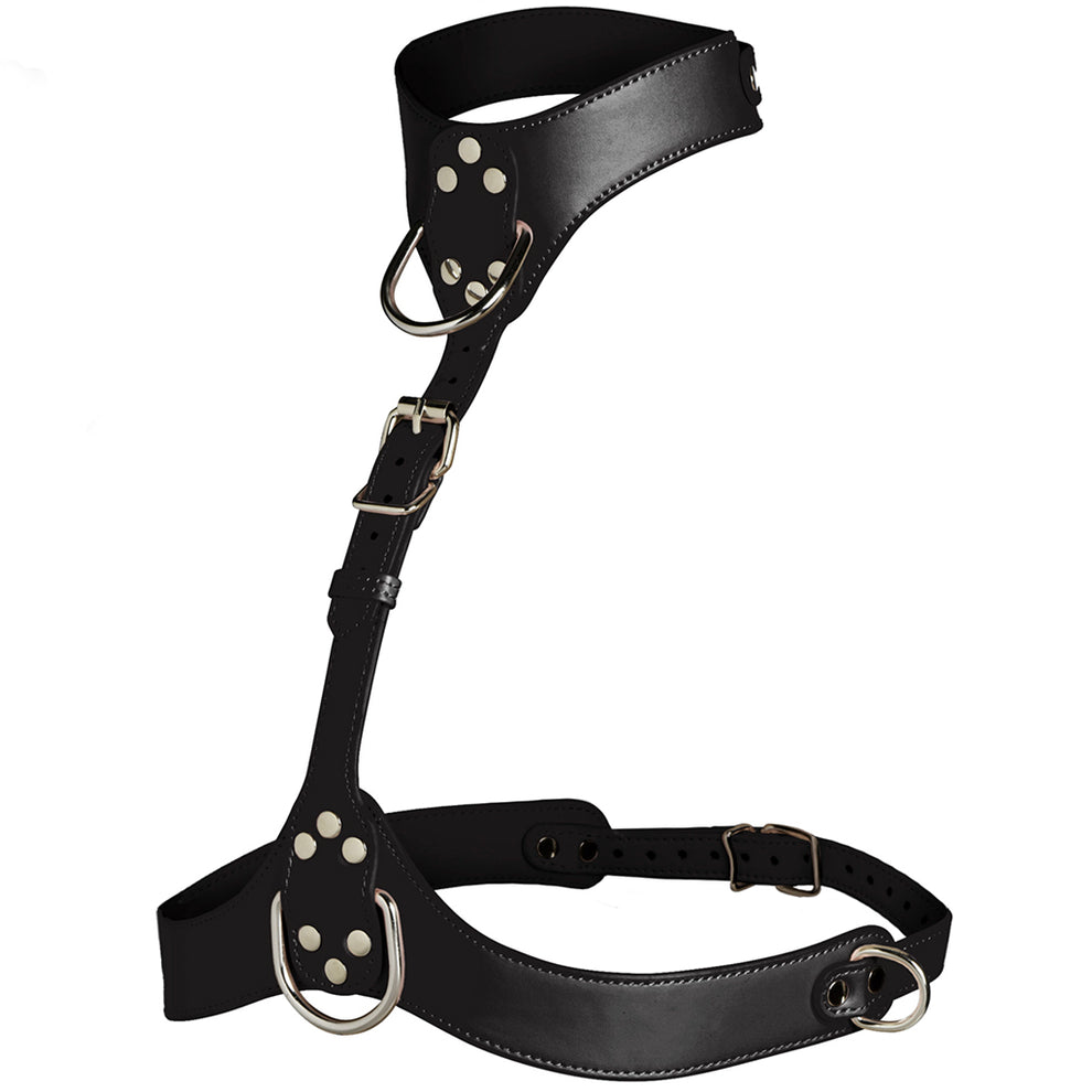 VIXEN HARNESS