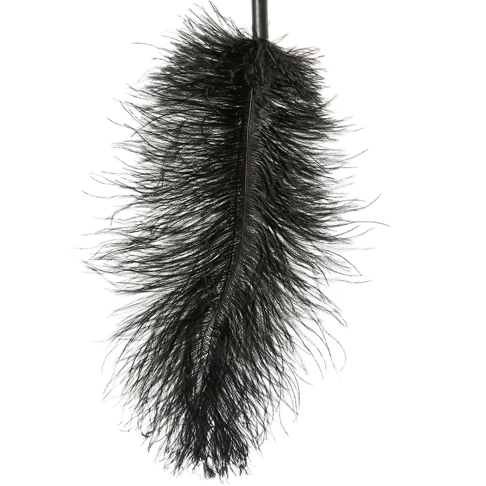 FEATHER BODY